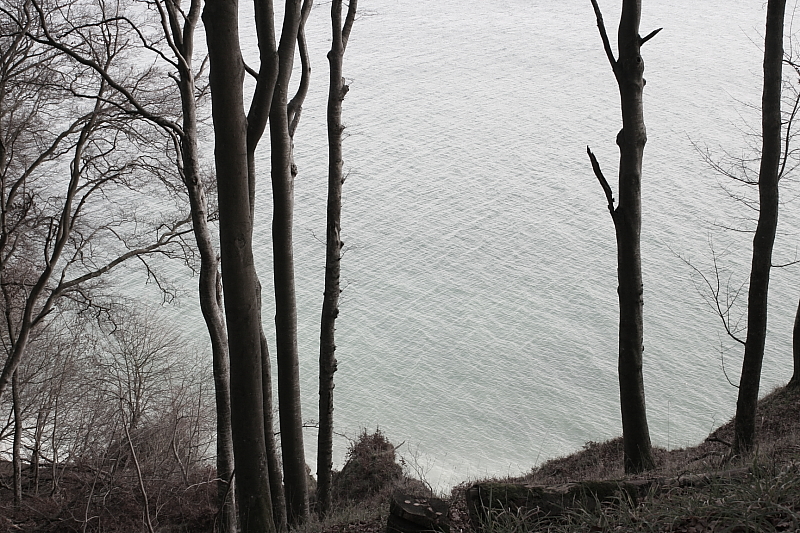 Killikus® Fotographie Killikus® Fotographie